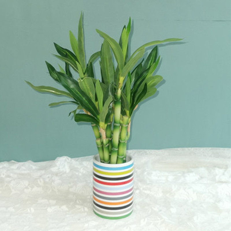 Nouveau 40cm rFtificial chance - Desk Setup Green avis et prix