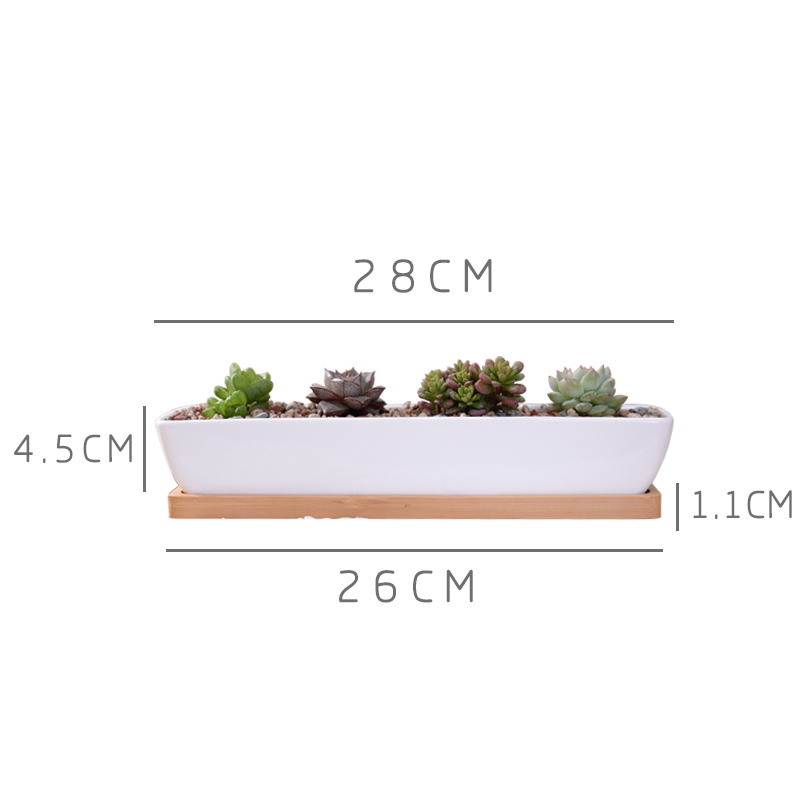 Pot de jardinière succulente e - Desk Setup Green avis et prix