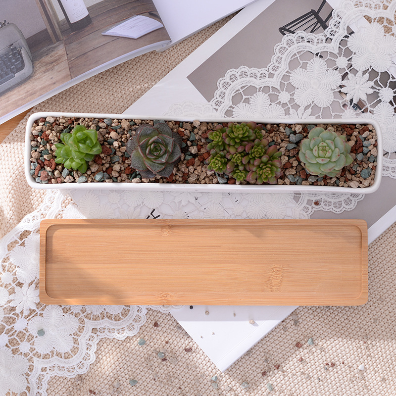 Pot de jardinière succulente e - Desk Setup Green avis et prix