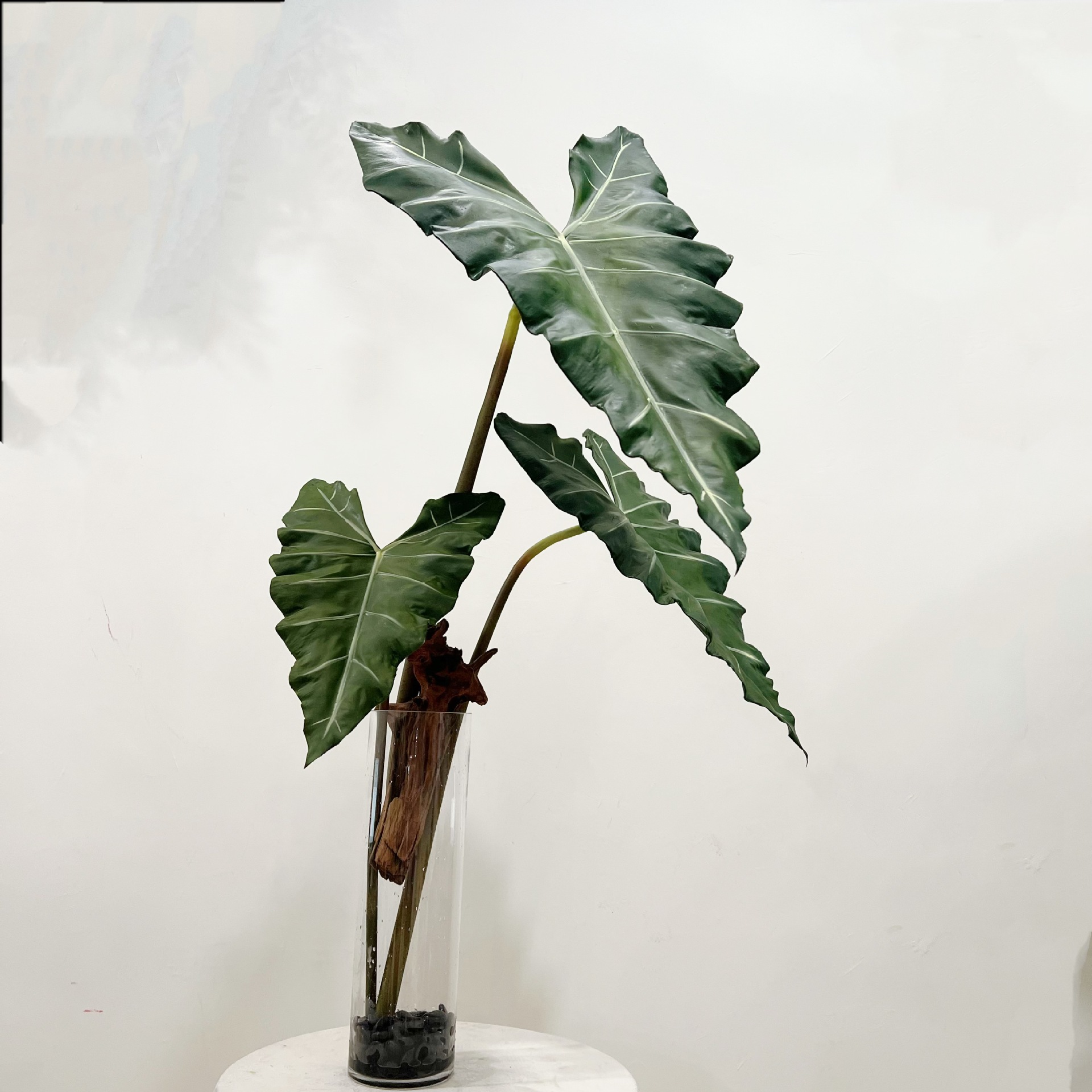 Plante verte en PU simulée, se - Desk Setup Green avis et prix